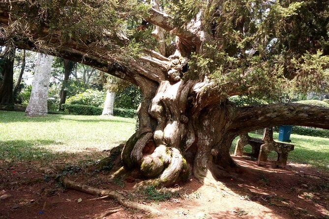 Aburi Botanical Gardens And Boti Falls Private Tour - Frequently Asked Questions