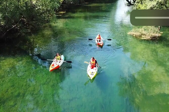 Adventure Kayak on Bunica River: Bbq/Veggie Lunch & Wildlife - Trip Overview