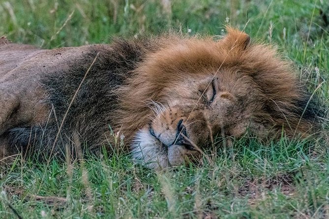 African Wildlife & Nature - 5 Kenya National Parks - 6 Day Jeep Safari - Booking Information