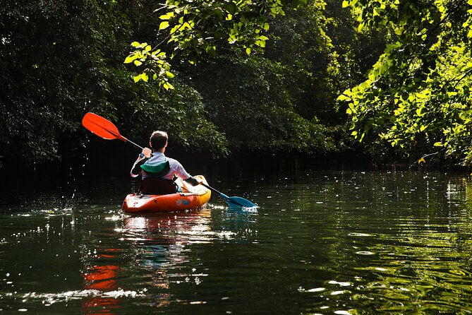 Afternoon Guided Kayak Tour on the Tamarin River - Frequently Asked Questions