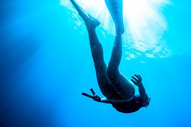Afternoon Snorkelling Guided by a Marine Biologist in Sorrento - Inclusions