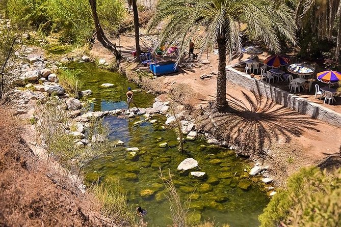 Agadir Trip To Paradise Valley