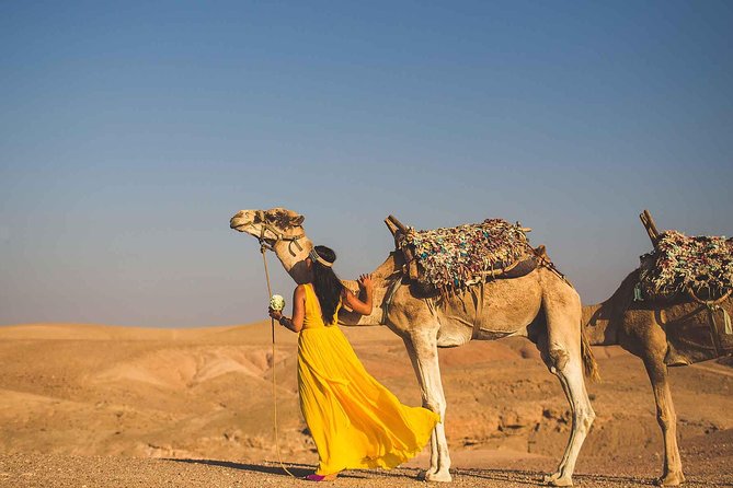 Agafay Desert Day Trip From Marrakech & Camel Ride - Highlights