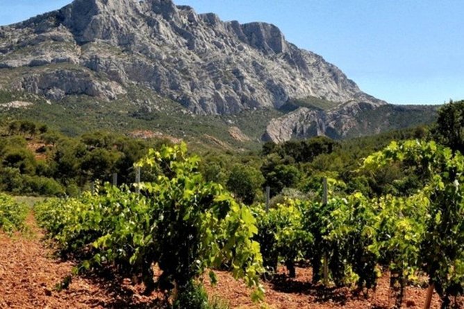 Aix En Provence and Wine Tasting Private Full Day Tour - Reviews