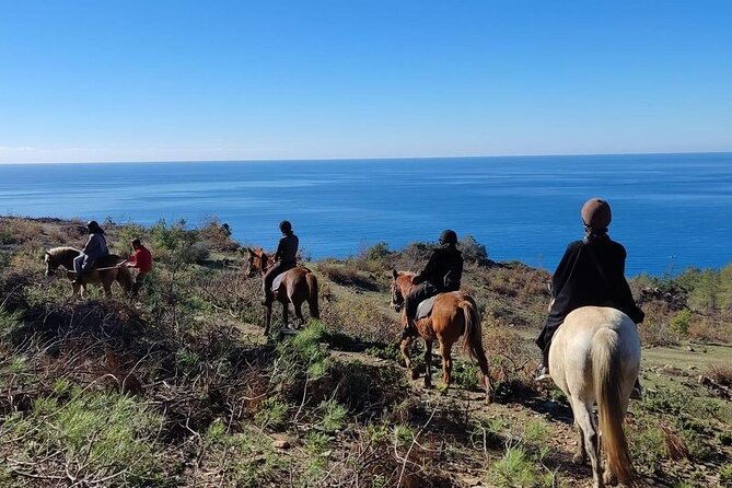 Alanya Horseback Riding in the Taurus Mountains With Transfer - Frequently Asked Questions