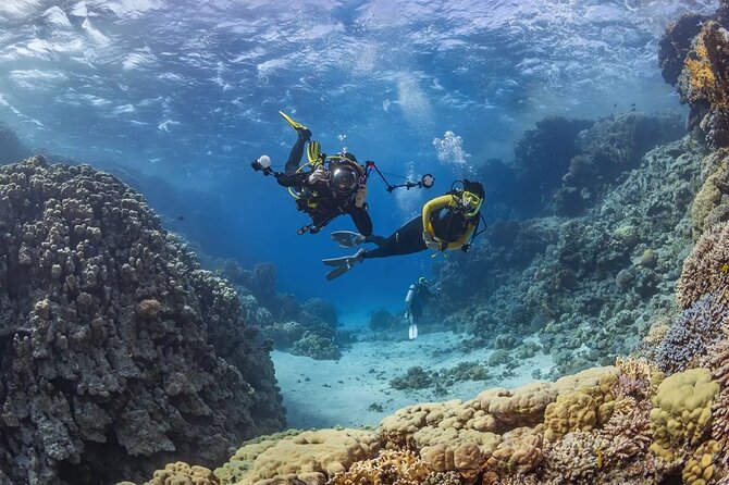 Alanya Scuba Diving Tour - Booking Options