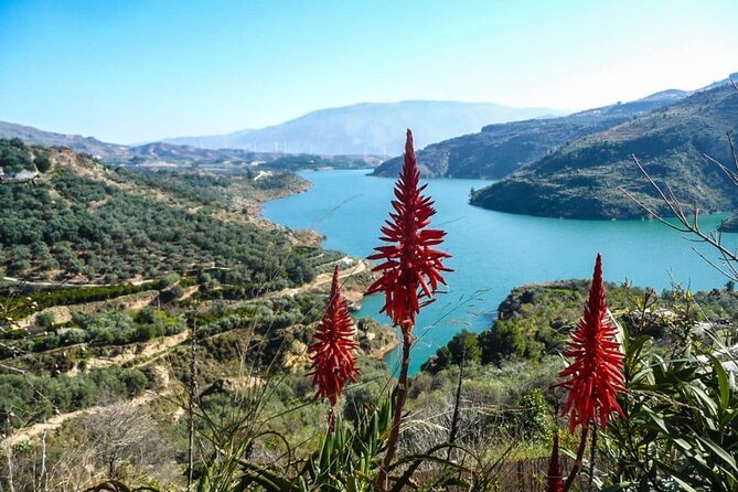 Alhambra and the Nerja Caves Private Tour From Malaga Province - Cancellation Policy and Exclusivity