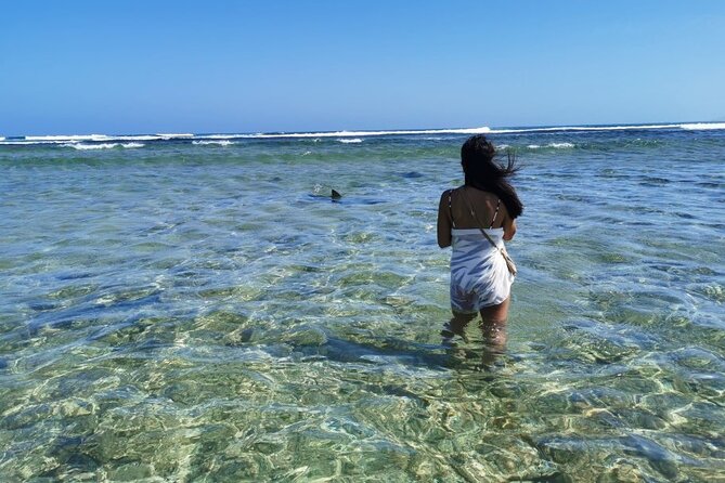 All Inclusive Full-Day Tour in Sal Island (Lunch and All Fees Included) - Frequently Asked Questions