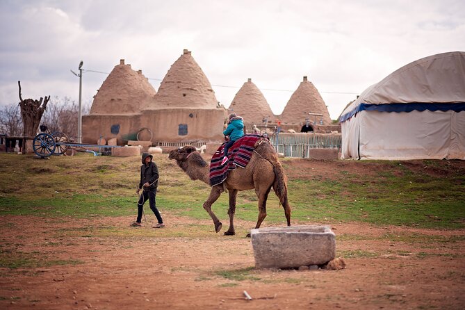 All-inclusive Private Guided 10-day Tour of Mesopotamia - The Sum Up