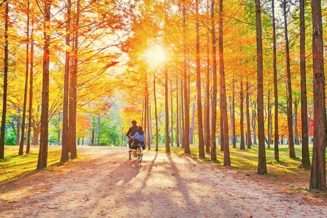Alpaca World & Nami Island & Garden of Morning Calm One Day Tour - Tour Logistics