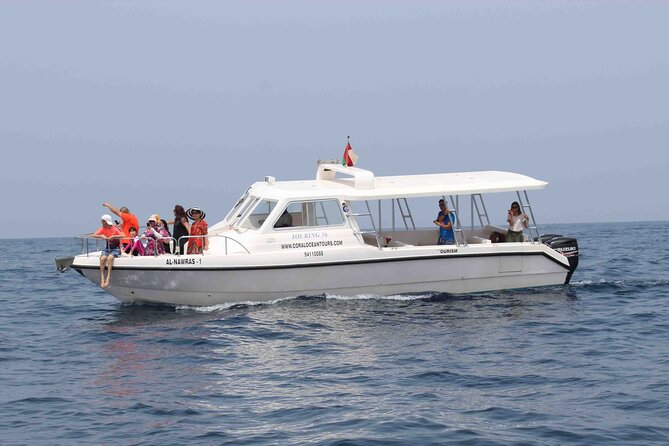 Amazing Dolphin Watching Tour In Muscat - The Sum Up