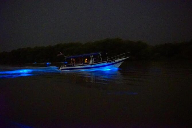 Amazing Fireflies With Blue Tears Watching & Kuala Selangor Tour - Meeting and Pickup Details