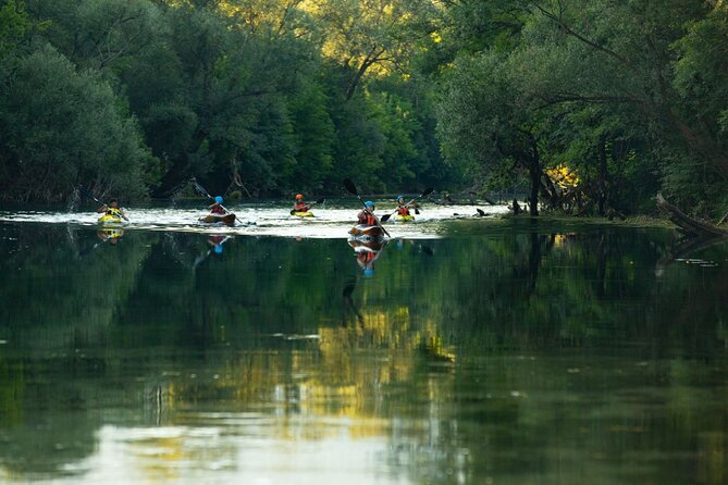 Amazing Kayaking in Zeta River and Local Organic Slow Food - Verified Customer Reviews