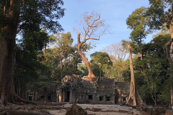 Angkor Wat Private Tour 1day - Tour Overview