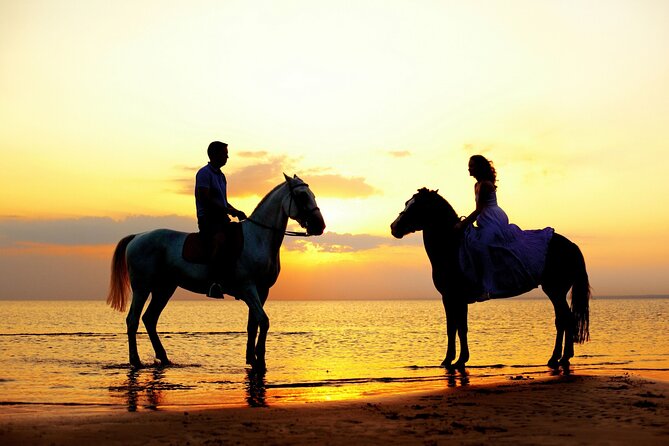 Antalya Horse Riding Forest and Beach - Additional Info