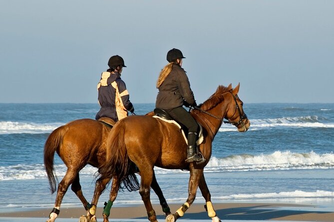 Antalya Horseback Riding Tour With Roundtrip Transfer - Meeting Point