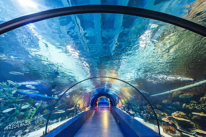 Antalya Tunnel Aquarium With Face2face Transfers Include - Cancellation Policy Details