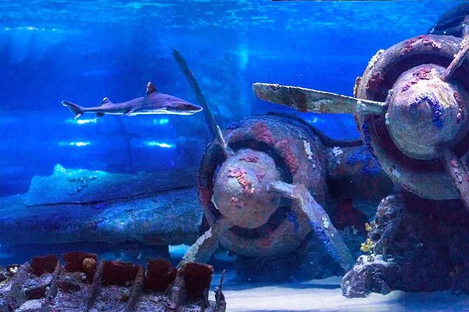 Aquarium & Face2face Wax Museum From Side - Availability and Reservation