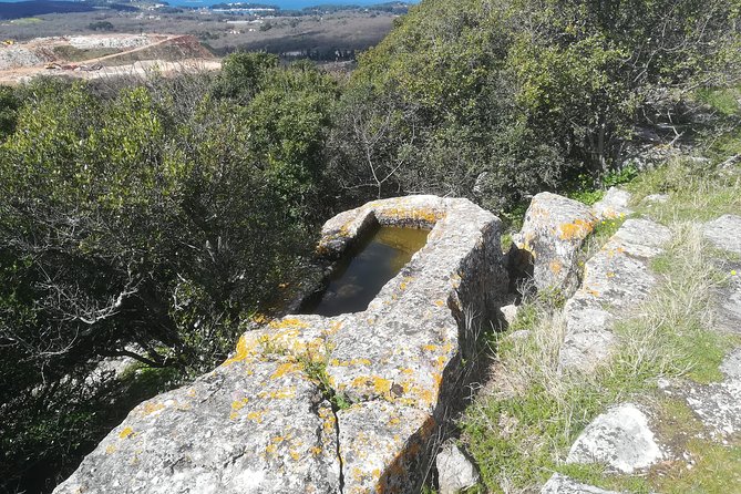 Archaeological Tour Near Poreč - Booking Information