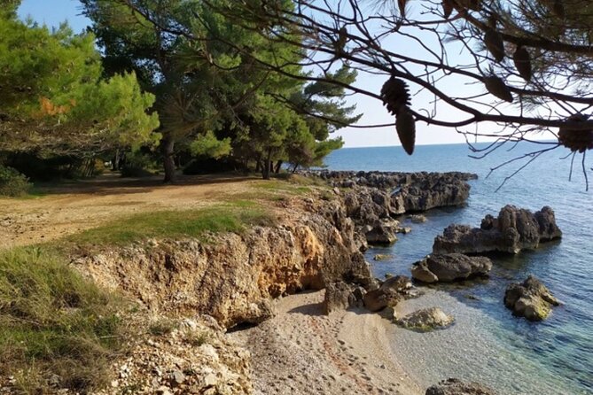 Argostoli: Farm Delights and Timeless Tastes - Tasting Local Delicacies