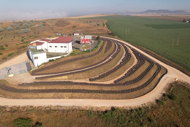 Aroma Sampling of 5 Bulgarian Lavender Varieties at Dives Winery - Meeting Point and Address Details