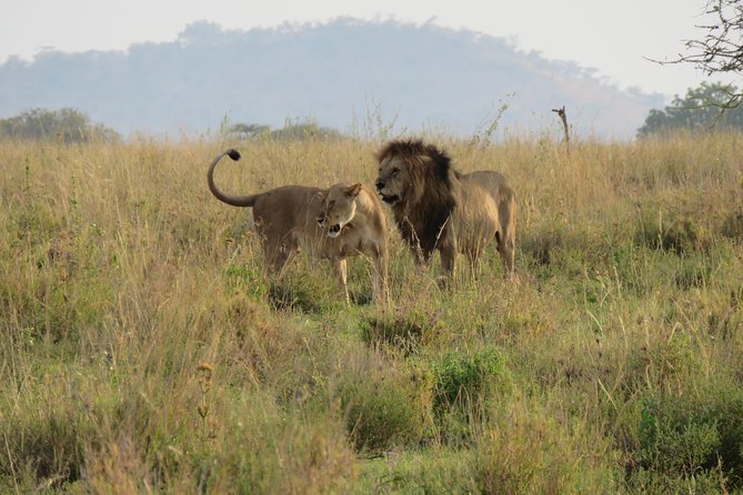 Arusha National Park Game Drive and Walking Safari Day Tour - Scenic Landscapes