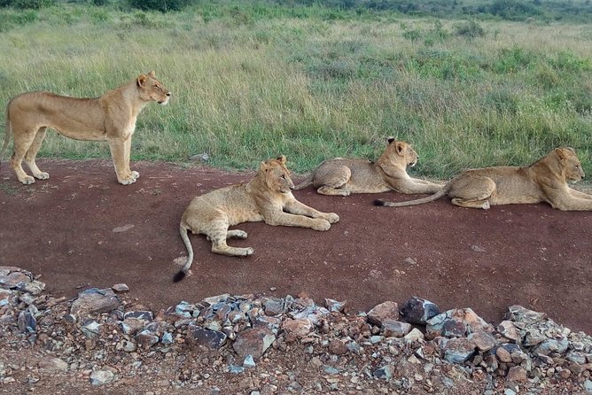 Arusha National Park Half Day Tour - Tour Details
