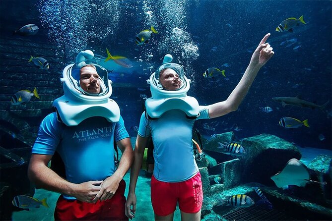 Atlantis Lost Chamber Aquarium in Dubai - Review Analysis