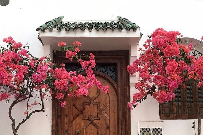 Authentic Private Tangier Tour From Malaga Camel Ride & Lunch - Private Transportation Details
