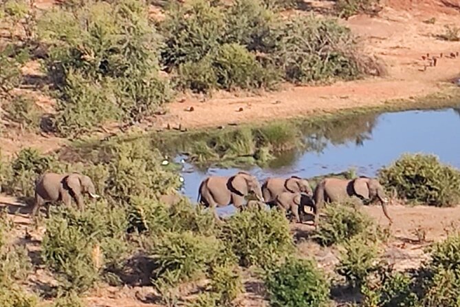 Baobab-Sunrise-Sunset-Vulture-Moonlight Safaris, 4 Options - Frequently Asked Questions