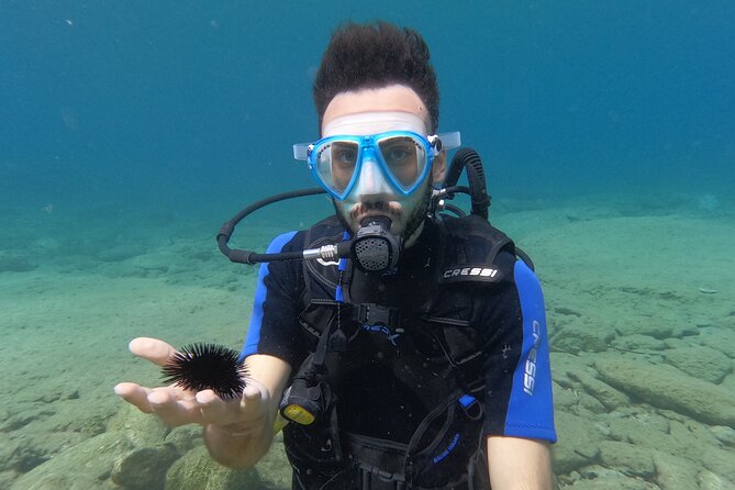 Beginners SSI Intro Dive W/2 Dives & Transfer