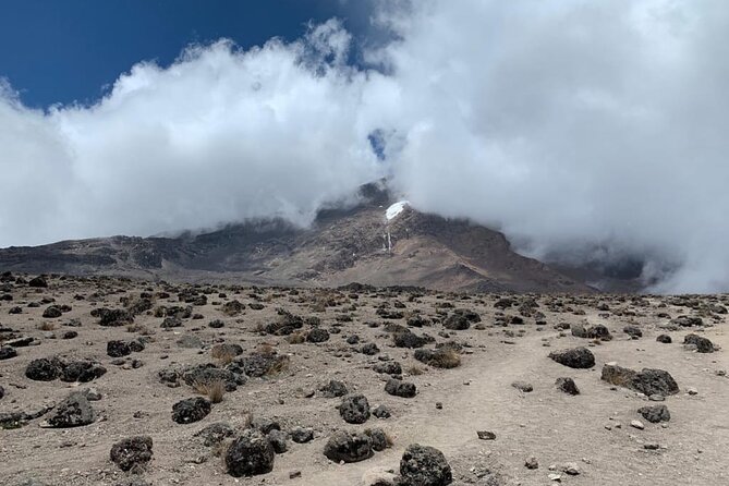 Best 6 Days Kilimanjaro Climbing via Marangu Route 2024 &2025 - Reviews and Testimonials