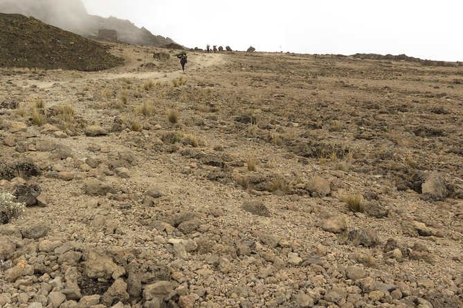 Best 7 Days Lemosho Route Kilimanjaro Hiking Package 2024/2025 - Meeting and Pickup