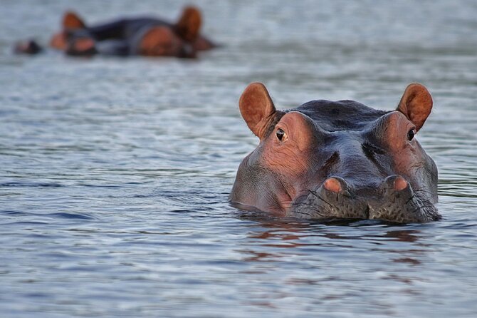 Best Kasane Experience 4 Day 3Nights - Accommodation Options
