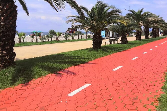 Best of Batumi | Private Walking Tour in the City + Wine Tasting - Meeting and Pickup