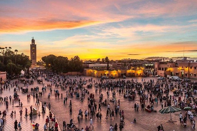 Best of Morocco 7 Days Imperial Authentic Luxury Tour - Customer Testimonials and Reviews