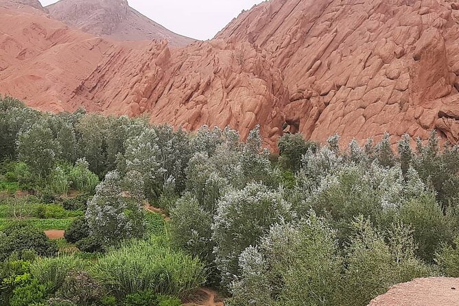 Best Private 3 Days Fes Desert Tour - Frequently Asked Questions