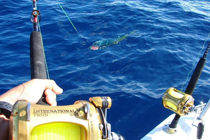 Big Game Fishing a Fishing Charter in Seychelles - Inclusions and Amenities