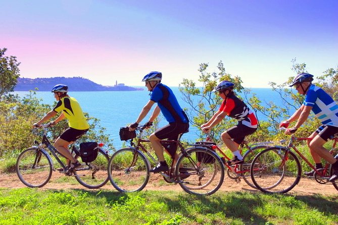Biking Trip - Shore Excursion From Koper - Trip Overview