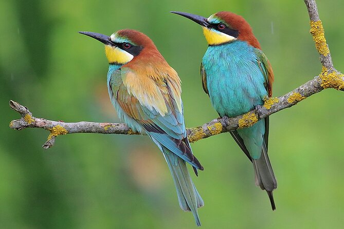 Birds, Nature and Wine Tour From Nessebar or Bourgas - Directions