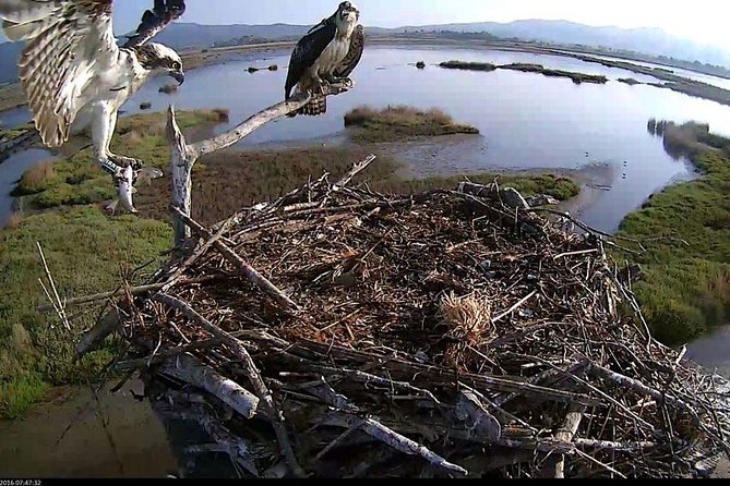 Birdwatching and Photo Tour in Diaccia Botrona - Tour Location and Transportation