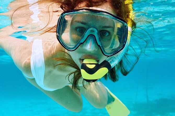Boat Dive and Snorkeling Experience in Aqaba - Reviews