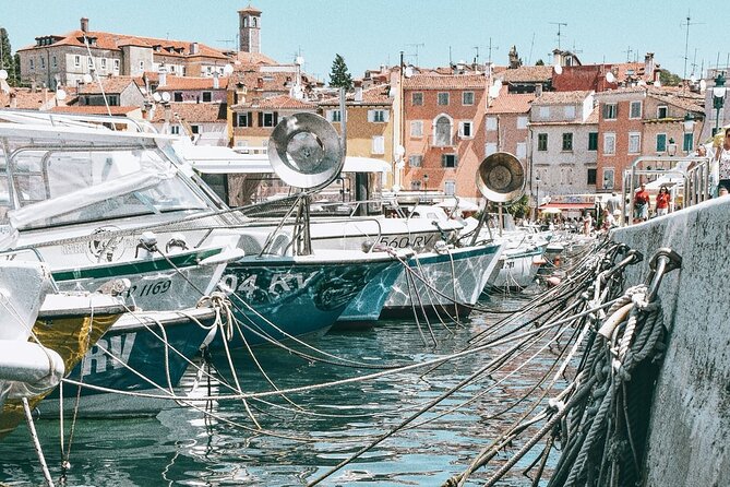 Boat Tour to Rovinj and Lim Fjord - The Sum Up