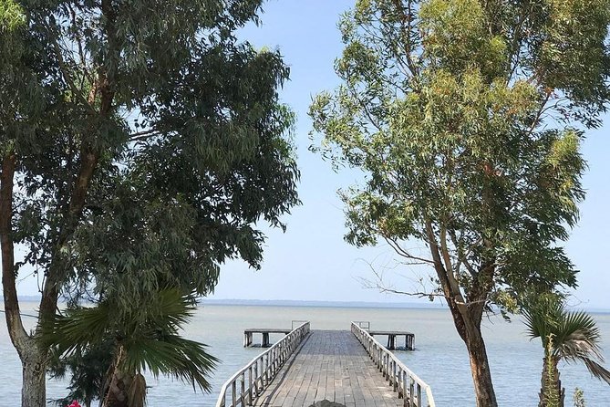 Boat Trip in Karavasta National Park and Apollonia Archaeological Park - Inclusions