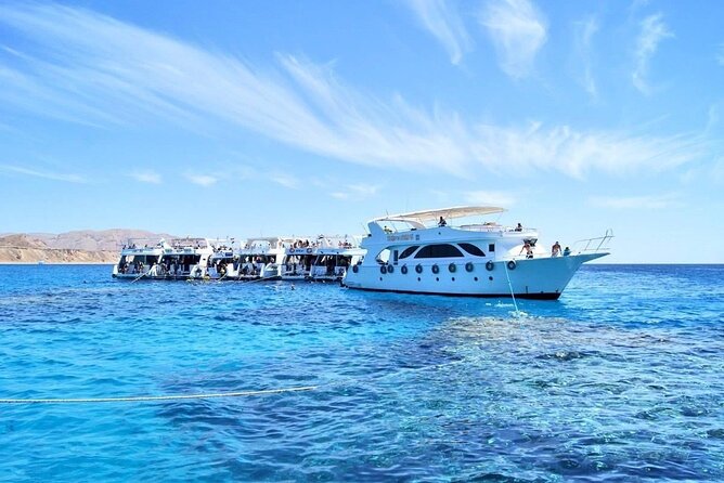 Boat Trip to Ras Mohamed & White Island Red Sea & Snorkeling in Sharm Elsheikh - Reviews Overview