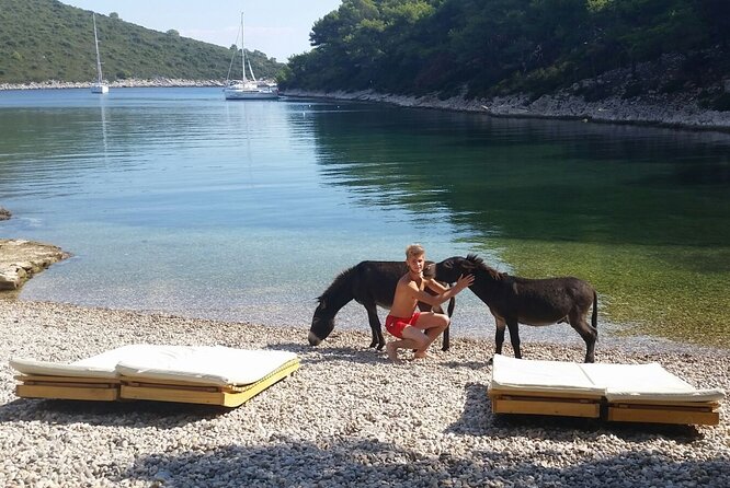 Bol and Northern Side of Hvar Private Tour From Hvar - Meeting and Pickup