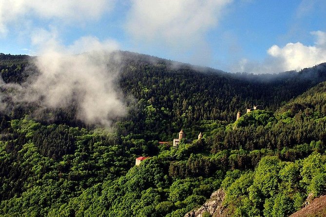 Borjomi, Rabati, Sapara - Private Tour - Customer Reviews