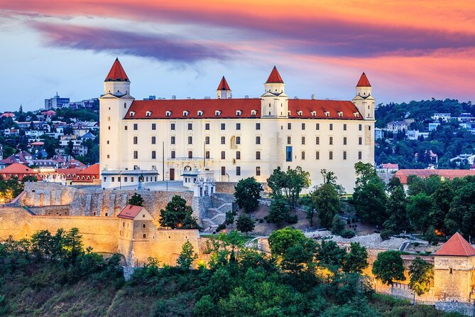 Bratislava Private Full Day Tour From Vienna - Accessibility and Restrictions