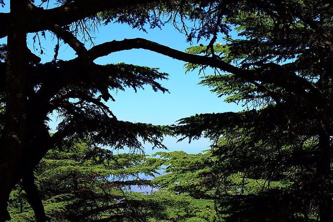 Budget Tour to Qadisha, Cedars and Baalbek - Pricing Information