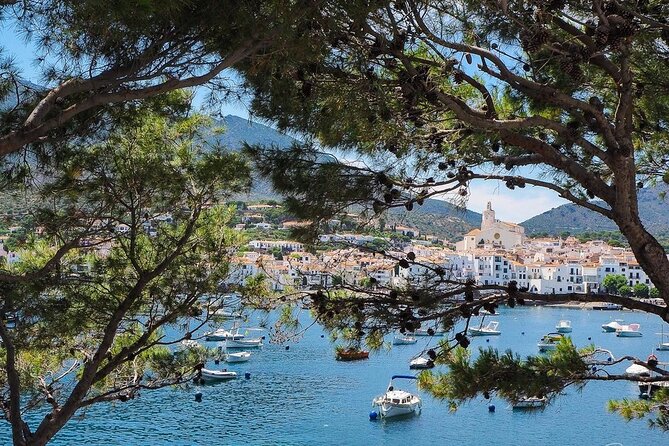 Cadaqués & Wine Tasting Day Trip - Whats Included